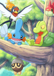 creatures_(company) game_freak gen_3_pokemon mudkip nintendo pokemoa pokemon pokemon_(creature) seedot taillow torchic treecko wurmple