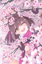 1girl ;d absurdres animal_ears blue_archive blush branch cherry_blossoms commentary_request extra_ears eyeshadow falling_petals fang fox_ears fox_mask halo head_tilt highres holding holding_branch izuna_(blue_archive) izunasuki_art looking_at_viewer makeup mask mask_on_head one_eye_closed open_mouth outdoors petals pink_scarf red_eyeshadow revision scarf school_uniform serafuku short_hair skin_fang smile solo