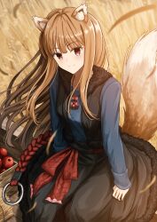 1girl animal_ear_fluff animal_ears apple black_skirt black_vest blue_shirt brown_hair closed_mouth commentary_request dot_nose food from_above fruit fur-trimmed_skirt fur-trimmed_vest fur_trim highres holo long_hair long_sleeves looking_at_viewer morebi outdoors pouch red_eyes shirt sitting skirt smile solo spice_and_wolf tail vest wagon wheat wheat_field wolf_ears wolf_girl wolf_tail