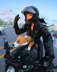 1girl biker_clothes bikesuit black_bodysuit black_gloves black_hair black_helmet blue_sky bodysuit brown_eyes day dog gloves helmet highres highway jewelry long_hair looking_ahead motion_blur motor_vehicle motorcycle necklace original riding sam_yang sky solo welsh_corgi