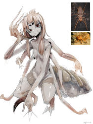 1girl absurdres animal_feet arm_blade arm_hair arthropod_girl artist_name bad_id bad_pixiv_id breasts brown_hair claws closed_mouth collarbone colored_skin completely_nude expressionless extra_arms female_focus grey_skin hairy half-closed_eyes hand_up head_tilt highres long_hair looking_at_viewer low_twintails monster_girl my700 navel nipples nude original personification photo_inset red_eyes reference_inset reference_photo scar scar_on_face shiny_skin sidelocks signature simple_background sketch small_breasts solifugae solo stomach thighs twintails weapon white_background