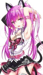 Rule 34 | 1girl, :d, ahoge, animal ear fluff, animal ears, arm warmers, armband, armpits, arms up, bare shoulders, bead necklace, beads, beatmania iidx, belt, bemani, black skirt, bra, breasts, buttons, cat ears, cat girl, cat tail, chain, cleavage, collared shirt, commentary request, fang, female focus, front-tie top, heart, highres, jewelry, long hair, looking at viewer, medium breasts, miniskirt, mizushiro celica, mizushiro celica (punk cat), necklace, necktie, open mouth, pink bra, plaid bra, plaid clothes, purple eyes, purple hair, see-through clothes, shirt, short necktie, single arm warmer, skirt, sleeveless, sleeveless shirt, smile, solo, tail, thighhighs, twintails, underwear, white shirt, yukine, zettai ryouiki