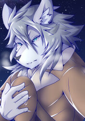 1boy absurdres animal_ear_fluff animal_ears boneless_hamham brown_hat brown_jacket commentary_request fate/grand_order fate_(series) fur-trimmed_jacket fur_trim furry furry_male grey_fur grey_hair hat highres jacket looking_to_the_side male_focus night night_sky patxi_(fate) sky star_(sky) starry_sky steam wolf_boy wolf_ears