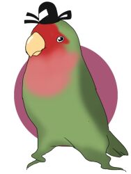 Rule 34 | animal focus, animalization, bird, black hat, commentary request, full body, ghost tail, hat, lovebird, no humans, onikobe rin, purple background, simple background, soga no tojiko, tate eboshi, touhou, two-tone background, white background