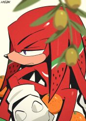 1boy absurdres animal_nose branch closed_mouth commentary food fruit furry furry_male gloves highres hyeon_sonic knuckles_the_echidna male_focus olive olive_branch orange_(fruit) purple_eyes red_fur signature sitting solo sonic_(series) symbol-only_commentary watermelon white_gloves