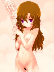 Rule 34 | 0123456789, 1girl, anyamal tantei kirumin zoo, bathing, blush, breasts, brown eyes, brown hair, censored, female focus, female pubic hair, mikogami nagisa, navel, nipples, nude, pubic hair, purple eyes, pussy, shower, solo, standing, wet