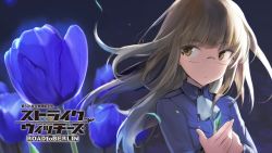 Rule 34 | ascot, blue flower, blue jacket, eyecatch, falling leaves, falling petals, field, flower, flower field, glasses, jacket, leaf, night, perrine h. clostermann, petals, semi-rimless eyewear, strike witches, under-rim eyewear, white ascot, wind, world witches series, yellow eyes