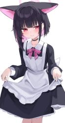 Rule 34 | 1girl, absurdres, animal ears, apron, black hair, blue archive, bow, cat ears, choker, hair behind ear, halo, highres, kazusa (blue archive), light smile, maid, multicolored hair, pink hair, red eyes, rihitonn sub, tagme, two-tone hair, white apron