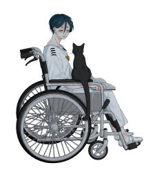 1boy animal black_cat cat commentary_request from_side full_body hair_between_eyes highres looking_at_animal maelo male_focus meguriya_ayumu pants shirt shoes short_hair short_sleeves simple_background sitting smile solo toshi_densetsu_kaitai_center triangle_necklace wheelchair white_background white_pants white_shirt white_shoes