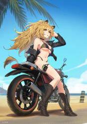 1girl absurdres animal_ear_fluff animal_ears arknights arm_up beach bikini black_bikini black_boots black_jacket blonde_hair blue_sky boots breasts chinese_commentary claudia_jolly commentary_request day full_body hair_between_eyes hand_in_own_hair highres jacket jewelry kawasumi_ayako knee_boots large_breasts leather leather_jacket linea_alba long_hair long_sleeves lunn motor_vehicle motorcycle mouth_hold navel off_shoulder outdoors palm_tree plant ring siege_(arknights) sky solo stomach swimsuit tail thigh_strap tree voice_actor_connection wind yellow_eyes yellow_tail
