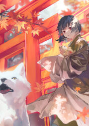 Rule 34 | 1girl, autumn leaves, black hair, brown kimono, dog, doll, falling leaves, highres, holding, holding doll, idolmaster, idolmaster shiny colors, japanese clothes, kimono, leaf, morino rinze, multiple torii, otsudou, parted lips, red eyes, short hair, solo, straw doll, torii