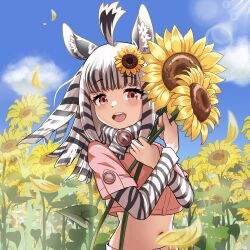 Rule 34 | 1girl, absurdres, animal ears, animal print, black hair, blunt bangs, blush, brown eyes, brown shirt, cowboy shot, crop top, flower, hair flower, hair ornament, highres, kemono friends, long hair, long sleeves, midriff, mountain zebra (kemono friends), multicolored hair, navel, negi e mon, open mouth, print sleeves, shirt, short sleeves, sidelocks, smile, sunflower, sunflower hair ornament, two-tone hair, white hair, zebra ears, zebra girl, zebra print