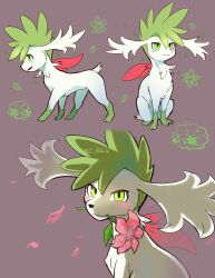 flower flower_in_mouth gen_4_pokemon green_eyes green_fur grey_background highres legendary_pokemon multiple_views mythical_pokemon nintendo no_humans o_hitu_g pink_flower pokemon pokemon_(creature) shaymin shaymin_(sky) simple_background two-tone_fur white_fur