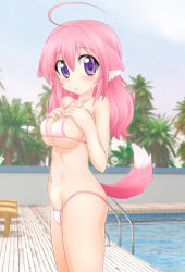 Rule 34 | 10s, 1girl, absurdres, ahoge, animal ear fluff, animal ears, bikini, blush, breast suppress, breasts, cleavage, dog days, dog ears, dog girl, dog tail, female focus, highres, koyomisa, long hair, looking at viewer, millhiore f. biscotti, navel, pink bikini, pink hair, poolside, purple eyes, sideboob, solo, standing, swimsuit, tail