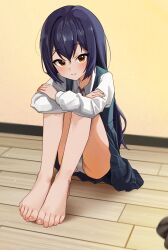 Rule 34 | 1girl, absurdres, barefoot, cabbage (chlehd2239), commission, feet, foot focus, foreshortening, highres, knees up, legs, long hair, looking at viewer, original, panties, pixiv commission, shirt, sitting, solo, toenails, toes, underwear, white panties, wooden floor