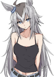 Rule 34 | 1girl, absurdres, ahoge, amaxa, animal ears, black camisole, blue eyes, camisole, collarbone, commentary request, grey hair, hairband, highres, horse ears, horse girl, long hair, multicolored hair, navel, oguri cap (umamusume), simple background, solo, streaked hair, two-tone hair, umamusume, white background