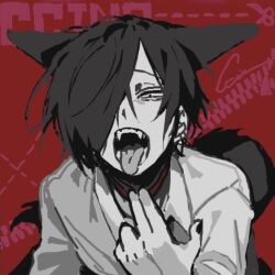 Rule 34 | 1boy, animal ears, chino (sky tanosi), collar, collar tug, commentary, cut-here line, dog boy, dog ears, dog tail, english commentary, fangs, hair over one eye, looking at viewer, male focus, original, red background, shirt, short hair, solo, tail, tongue, tongue out, upper body