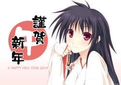 Rule 34 | 1girl, bell, black hair, happy new year, imari (zugaikotsu marudashi), japanese clothes, long hair, looking at viewer, miko, new year, red eyes, smile, solo, year 2013