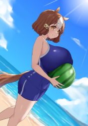1girl absurdres alternate_costume animal_ears bare_arms bare_shoulders beach belno_light_(umamusume) blue_one-piece_swimsuit blue_sky bow breast_press breasts brown_eyes brown_hair closed_mouth cloud commentary_request day dutch_angle ear_ornament ear_ribbon food from_side fruit hair_ornament highres holding holding_food holding_fruit horse_ears horse_girl horse_tail huge_breasts letter_hair_ornament looking_at_viewer multicolored_hair noe_(ppppriver) ocean one-piece_swimsuit red_ribbon ribbon short_hair sideways_glance sky smile solo standing sunlight swimsuit tail thighs turning_head two-tone_hair umamusume umamusume:_cinderella_gray watermelon white_hair white_trim
