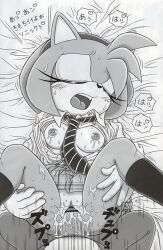 amy_rose bad_tag bed breasts censored clitoris dress faceless faceless_male female furry furry_bomb furry_bomb_factory hedgehog hetero japanese_text karate_akabon lying male mitsuharu_takura nipples open_mouth pussy sex sonic_(series) spread_legs sweat tagme tongue vaginal