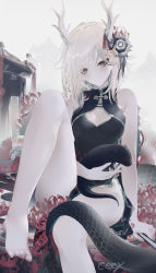 1girl alternate_costume antlers architecture bad_feet bare_shoulders barefoot black_dress breasts ceey china_dress chinese_clothes cleavage closed_mouth dragon_horns dragon_tail dress east_asian_architecture eyebrows_hidden_by_hair flower foot_out_of_frame grey_flower hair_flower hair_ornament highres horns kicchou_yachie knee_up light_blush light_smile looking_at_viewer medium_breasts otter_spirit_(touhou) outdoors platinum_blonde_hair red_flower short_hair sitting solo spider_lily tail touhou turtle_shell