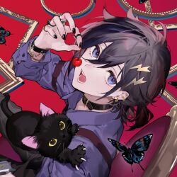 1boy :o album_cover belt_collar black_cat black_hair black_nails blue_eyes bracelet bug butterfly cat cherry collar commentary cover ear_piercing earrings food fruit hair_between_eyes hair_ornament highres holding holding_food holding_fruit holostars horiizumi_inko insect jewelry kanade_izuru looking_at_viewer male_focus official_art picture_frame piercing ring second-party_source solo