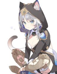 1girl animal_ears black_leotard blue_eyes braid cat_ears cat_girl cat_tail cipher_(honkai:_star_rail) cleavage_cutout clothing_cutout commentary grey_hair honkai:_star_rail honkai_(series) hood hoodie leotard looking_at_viewer side_braid simple_background smile solo symbol-only_commentary tail uwasewau white_background
