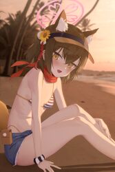 1girl absurdres animal_ears armband bare_legs beach bei_liou bikini blue_archive blue_shorts blush breasts brown_hair fang fox_ears highres izuna_(blue_archive) izuna_(swimsuit)_(blue_archive) looking_at_viewer ocean short_hair shorts sitting skin_fang small_breasts solo swimsuit tree twilight yellow_eyes