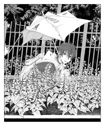 Rule 34 | 1boy, absurdres, antenna hair, backpack, bag, border, broken umbrella, choker, fence, foliage, greyscale, hair between eyes, hatching (texture), heterochromia, highres, holding, holding umbrella, hunched over, hypnosis mic, inset border, jacket over hoodie, looking at viewer, male focus, mole, mole under eye, mole under mouth, monochrome, multiple moles, parted lips, plant, raised eyebrow, short hair, solo, squatting, tree, umbrella, upper body, user fhve5477, white border, yamada saburo