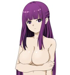 1girl absurdres as_(user_swdk7338) closed_mouth collarbone covering_breasts covering_nipples covering_privates facing_viewer fern_(sousou_no_frieren) half_updo hand_on_own_arm highres long_bangs long_hair looking_at_viewer nude purple_eyes purple_hair solo sousou_no_frieren very_long_hair white_background