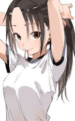 1girl absurdres black_hair black_trim breasts brown_eyes closed_mouth commentary_request gym_shirt hair_tie_in_mouth highres long_hair looking_at_viewer manemane_nichinichi medium_breasts mouth_hold nagisa_akane shirt simple_background solo tying_hair upper_body white_background white_shirt yamamoto_souichirou