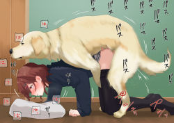 bestiality blush dog doggystyle floor higuchi_madoka idolmaster idolmaster_shiny_colors interspecies kneeling long_sleeves pillow red_hair sex sex_from_behind shadow socks thighhighs tsurugi_(the_horizon) wall