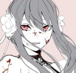 1girl 23i2ko blood blood_on_body blood_on_face blurry blurry_foreground blush collar flower grey_hair hair_between_eyes hair_bun hair_flower hair_flowing_over hair_ornament highres limited_palette looking_at_viewer open_mouth pink_background red_eyes scratches sidelocks simple_background solo spy_x_family yor_briar