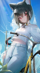 absurdres animal_ears bell bicycle bird black_collar black_hair blue_shirt blue_sky blurry blurry_foreground cat_ears cat_girl closed_mouth cloud cloudy_sky coat collar day e_name eyelashes hair_between_eyes hair_ornament hairpin hand_on_own_thigh highres hood hood_up leaf lips long_hair looking_at_viewer low-tied_long_hair monster_girl neck_bell no_navel original outdoors power_lines raincoat red_eyes see-through_clothes see-through_coat shirt sidelocks single_bare_shoulder sky sparkle standing sunlight transmission_tower wheel white_bird white_shirt