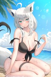 1girl absurdres ahoge alternate_costume animal_ear_fluff animal_ear_piercing animal_ears aqua_eyes beach bikini black_bikini black_ribbon blue_sky blush braid breasts cleavage closed_mouth cloud commentary_request fox_ears fox_girl fox_tail front-tie_bikini_top front-tie_top hair_between_eyes highres hololive long_hair looking_at_viewer low_ponytail navel ocean p-tomi palm_leaf ponytail pout ribbon shirakami_fubuki side_braid sitting sky solo strap_lift swimsuit tail thigh_strap virtual_youtuber wariza white_hair