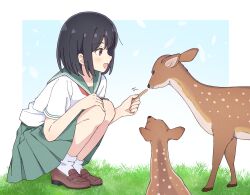 1girl :d absurdres animal black_hair blush brown_eyes brown_shoes commentary_request commission deer feeding food full_body grass green_sailor_collar green_skirt highres holding holding_food loafers mimori_(mimori_05) open_mouth original pleated_skirt sailor_collar school_uniform serafuku shirt shoes short_hair short_sleeves skeb_commission skirt smile socks solo squatting white_shirt white_socks