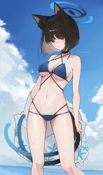 1girl :/ absurdres animal_ear_fluff animal_ears bikini black_choker black_eyes black_hair blue_archive blue_bikini blue_halo blue_sky blush breasts bright_pupils cat_ears cat_girl cat_tail choker closed_mouth cloud commentary cumulonimbus_cloud day feet_out_of_frame flower halo highleg highleg_bikini highres kikyou_(blue_archive) kikyou_(swimsuit)_(blue_archive) large_breasts layered_bikini looking_at_viewer multiple_tails navel ocean official_alternate_costume outdoors short_hair sky solo standing stomach string_bikini swimsuit tail twitter_username two_tails underboob water water_drop wet white_flower white_pupils yuzureei