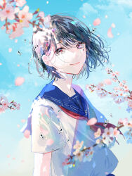 1girl black_hair blue_sailor_collar cherry_blossoms closed_mouth hagimorijia highres looking_at_viewer original sailor_collar school_uniform serafuku short_hair smile solo tearing_up white_serafuku