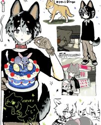 Rule 34 | 2boys, animal, animal collar, animal ears, black hair, black shirt, brown gloves, cake, chinchilla (animal), collar, coyotetaodog, dog, dog boy, dog ears, dog tail, food, gloves, grey eyes, grey hair, highres, male focus, multiple boys, multiple views, original, shirt, short hair, tail, white background