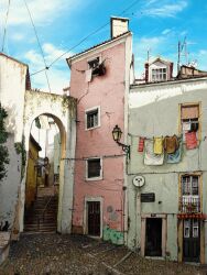 Rule 34 | brown shirt, clothes, day, francisco fonseca, graffiti, highres, no humans, original, plant, portugal, potted plant, radio antenna, railing, satellite dish, shirt, stairs, stone walkway, tree, wall lamp