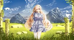 1girl absurdres alternate_costume arms_behind_back blonde_hair blue_sky blush breasts closed_mouth commentary day dress english_commentary grey_dress hair_ornament highres long_hair looking_at_viewer medibang_paint_(medium) medium_breasts outdoors pantyhose paomol phoebe_(wuthering_waves) purple_eyes sky smile solo tacet_mark_(wuthering_waves) very_long_hair white_pantyhose wuthering_waves x_hair_ornament