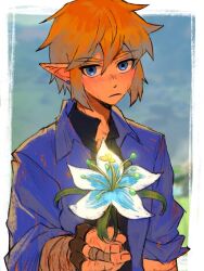 Rule 34 | 1boy, blonde hair, blue eyes, blue shirt, blurry, border, commentary, depth of field, highres, link, looking at viewer, male focus, nintendo, outside border, pointy ears, rv (gvdn7245), shirt, short hair, silent princess, solo, the legend of zelda, the legend of zelda: tears of the kingdom, white border