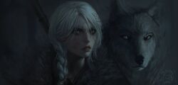 1girl braid braided_ponytail ciri fur_collar green_eyes highres long_hair night scar scar_on_face the_witcher_(series) the_witcher_4 upper_body white_hair wolf yuki_lu