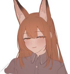 1girl animal_ears arknights black_shirt blush brown_hair collared_shirt flat_color fox_ears fox_girl franka_(arknights) hair_between_eyes half-closed_eyes light_smile long_hair looking_at_viewer orange_eyes parted_lips portrait sakikov shirt simple_background solo unfinished white_background