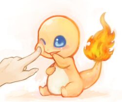 blue_eyes charmander commentary_request fang fingernails fire flame-tipped_tail full_body gen_1_pokemon nintendo nostrils one_eye_closed open_mouth out_of_frame pokemon pokemon_(creature) poking sasatsuka_(hasamimushi) simple_background sitting solo_focus tail white_background