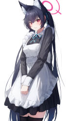 Rule 34 | 1girl, alternate costume, animal ear fluff, animal ears, apron, black dress, black hair, black thighhighs, blue archive, blue ribbon, cat ears, cat girl, clenched hand, closed mouth, commentary, cowboy shot, crossed bangs, dress, enmaided, extra ears, fang, frilled apron, frills, fujiwara haru (nekonote), furrowed brow, hair between eyes, hair intakes, hair ribbon, halo, highres, long hair, long sleeves, looking at viewer, maid, maid apron, neck ribbon, pink halo, pink pupils, red eyes, ribbon, serika (blue archive), shy, sidelocks, simple background, skin fang, sleeves past wrists, solo, straight hair, thighhighs, twintails, v arms, very long hair, white apron, white background, zettai ryouiki