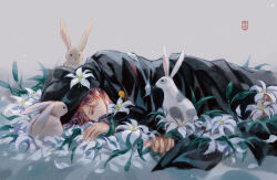 Rule 34 | 1boy, black robe, brown hair, closed eyes, closed mouth, feet out of frame, flower, grey background, hair flower, hair ornament, hood, hood up, hooded robe, kotobuki reiji, leaf, light particles, lily (flower), lying, male focus, on floor, on flower, on side, petals, rabbit, robe, seal impression, short hair, sleeping, solo, swept bangs, uta no prince-sama, white flower, white lily, xue ezi