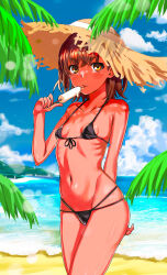 Rule 34 | 1girl, arm behind back, beach, bikini, black bikini, blue sky, breasts, brown eyes, brown hair, cloud, food, front-tie bikini top, front-tie top, hat, highres, holding, holding food, holding ice cream, holding popsicle, ice cream, medium hair, melting popsicle, misaka mikoto, mitsunari (708154), navel, ocean, outdoors, palm tree, popsicle, sky, small breasts, solo, straw hat, string bikini, swimsuit, tan, toaru kagaku no railgun, toaru majutsu no index, tongue, tongue out, tree