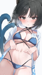 1girl absurdres animal_ear_fluff animal_ears bikini black_eyes black_hair blue_archive blue_bikini blush breasts cat_ears cat_girl cat_tail highres kikyou_(blue_archive) kikyou_(swimsuit)_(blue_archive) looking_at_viewer multiple_tails official_alternate_costume solo sweat swimsuit tail two_tails wendao