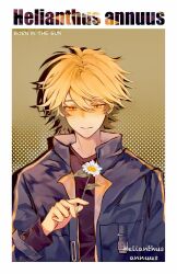 Rule 34 | 1boy, black shirt, blonde hair, blue jacket, closed mouth, english text, flower, hair between eyes, highres, holding, holding flower, jacket, likenina, long sleeves, looking down, male focus, multicolored hair, open clothes, open jacket, shiguang dailiren, shirt, short hair, solo, upper body, white flower, xia fei, yellow background, yellow eyes